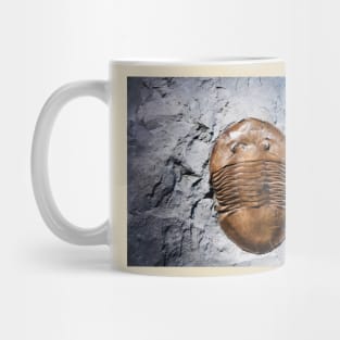 Fossil 2 Mug